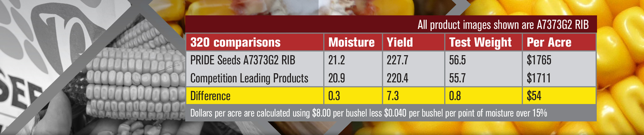 PRIDE Seeds A7373G2 RIB has greater yield over competition leading products