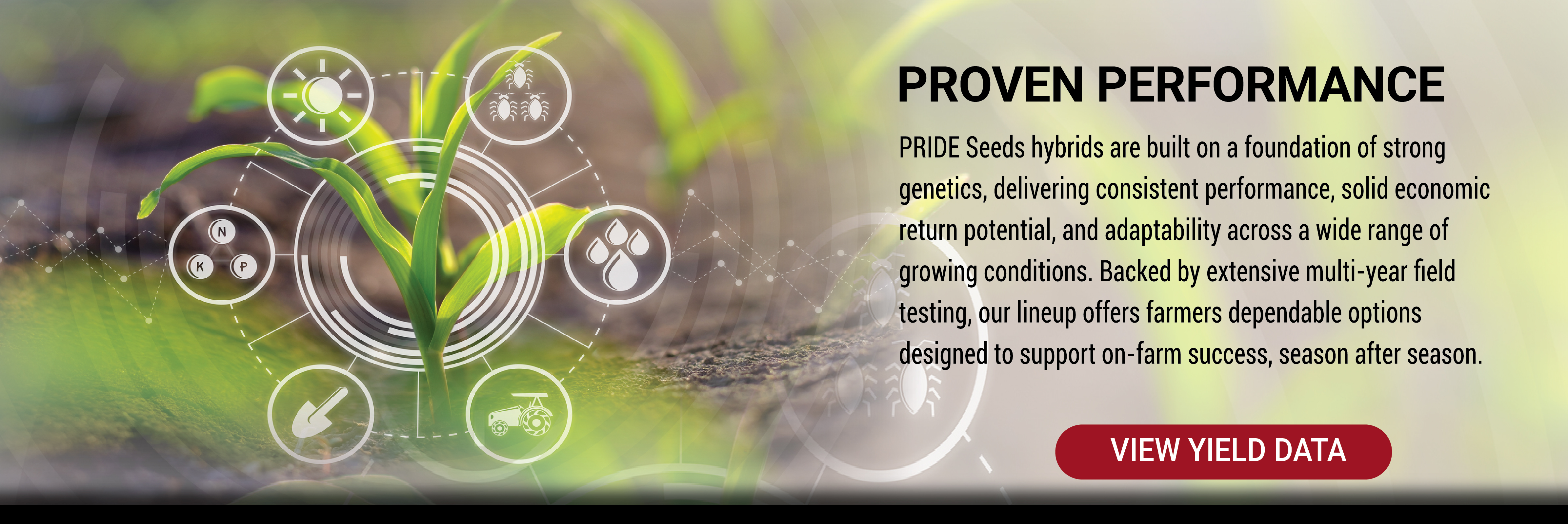 Website Graphics_Headers8_2025