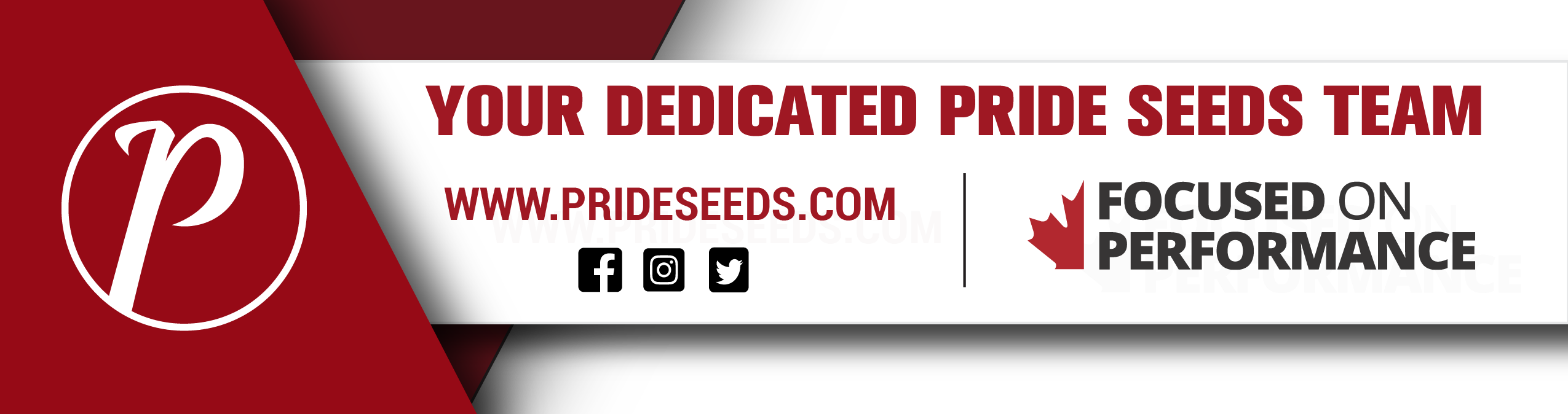 Dedicated PRIDE team_EN-01