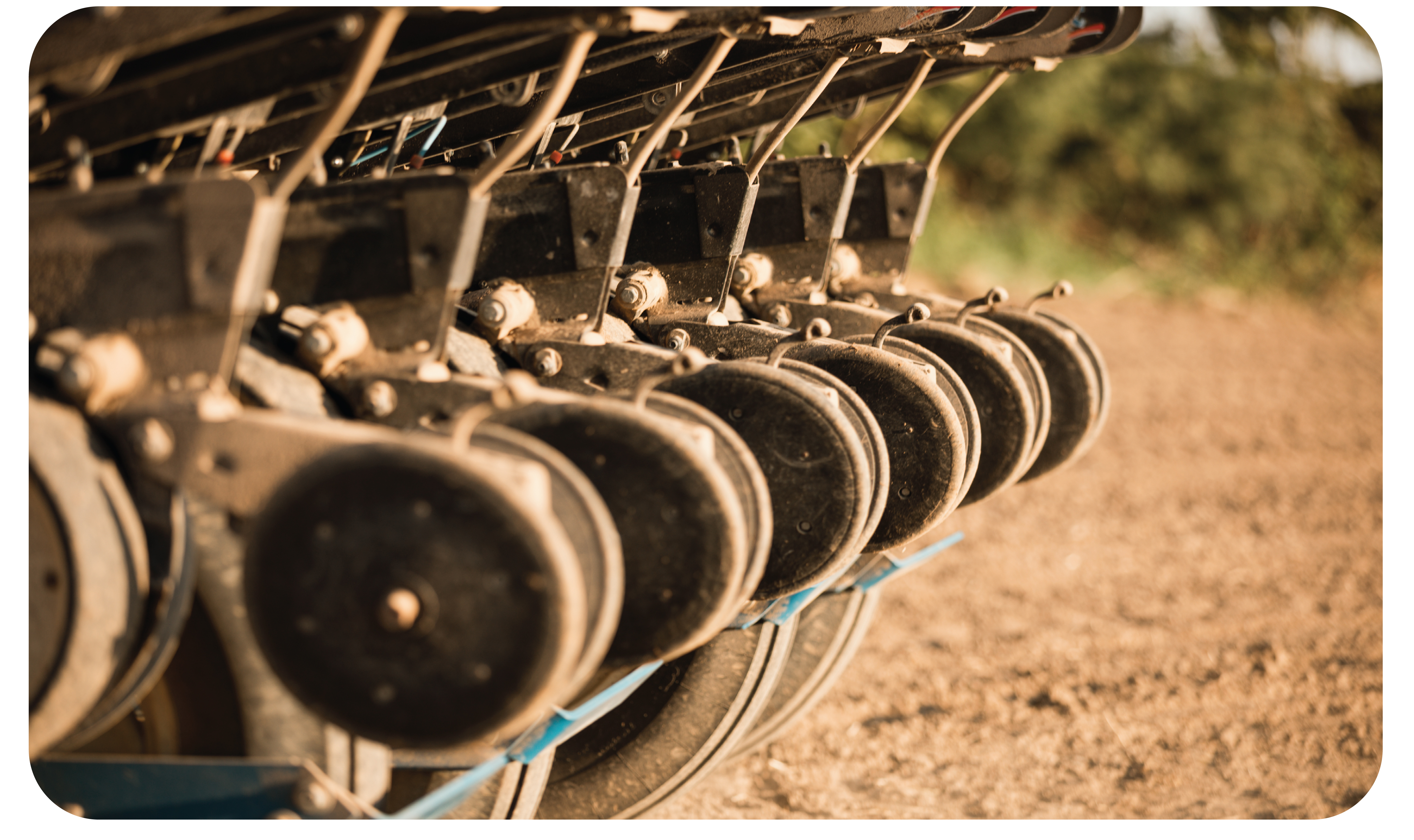 Planter image