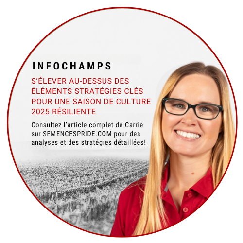 Corn School - Carrie Mc_FR